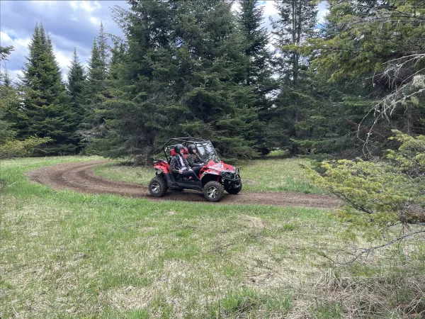 A red UTV sits on a well ridden trail in the grass in front of a large pine tree